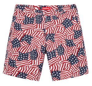 Supreme Flags Work Short (SS20)
