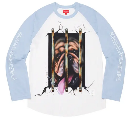 Supreme Dog Raglan Long Sleeve Top (SS20)