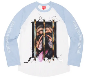 Supreme Dog Raglan Long Sleeve Top (SS20)